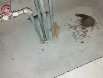 丰镇卫生间测漏水价格明细